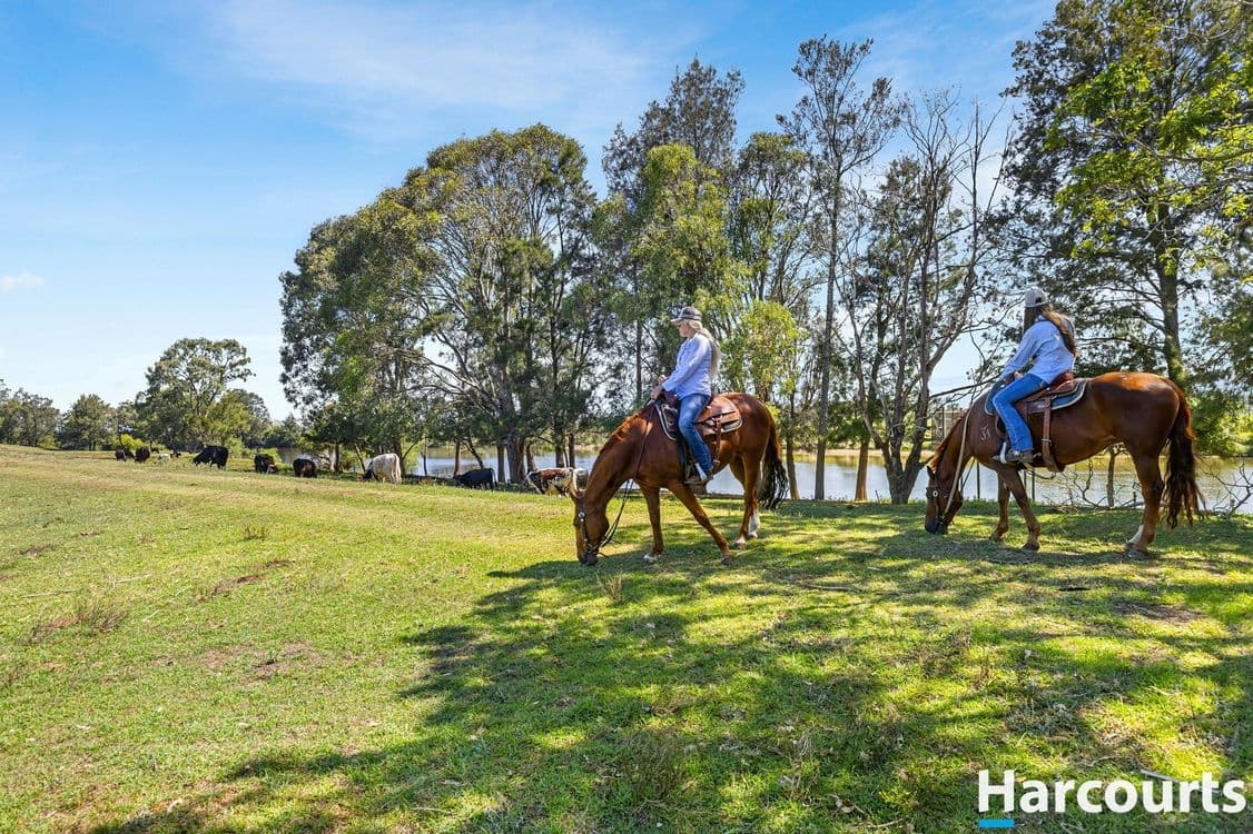 34 Market Street, Hinton, NSW 2321, Hinton - Thumbnail 4