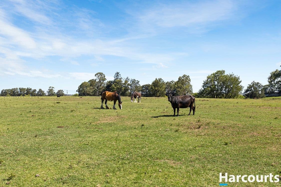34 Market Street, Hinton, NSW 2321, Hinton - Thumbnail 5