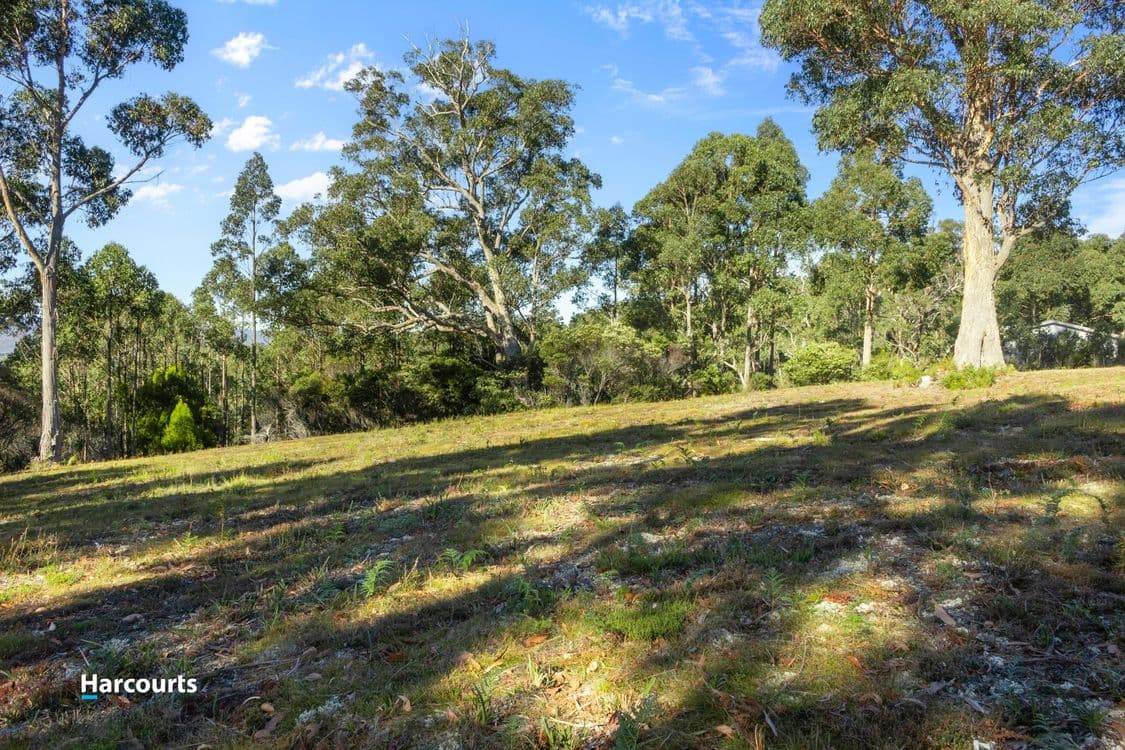 15 Stella Court, SURGES BAY, TAS 7116, Surges Bay - Thumbnail 7
