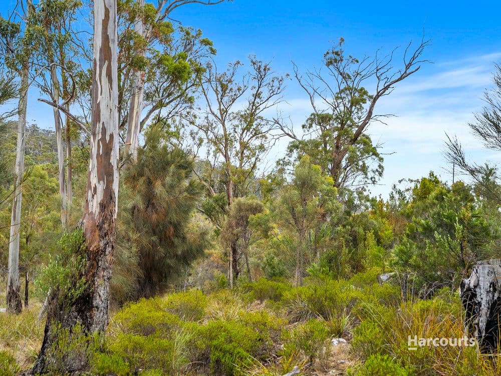 Mary Street, ORFORD, TAS 7190, Orford - Thumbnail 7
