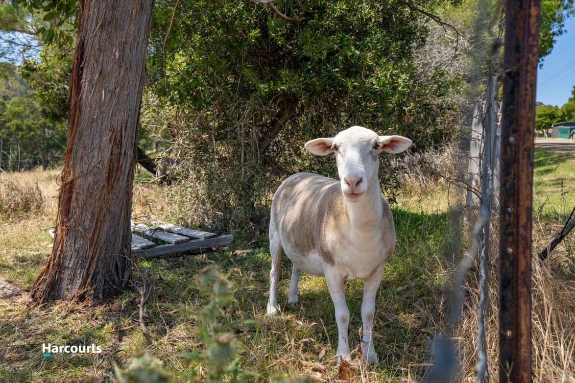 Lot 1 & 2 Graces Road, GLAZIERS BAY, TAS 7109, Glaziers Bay - Thumbnail 8