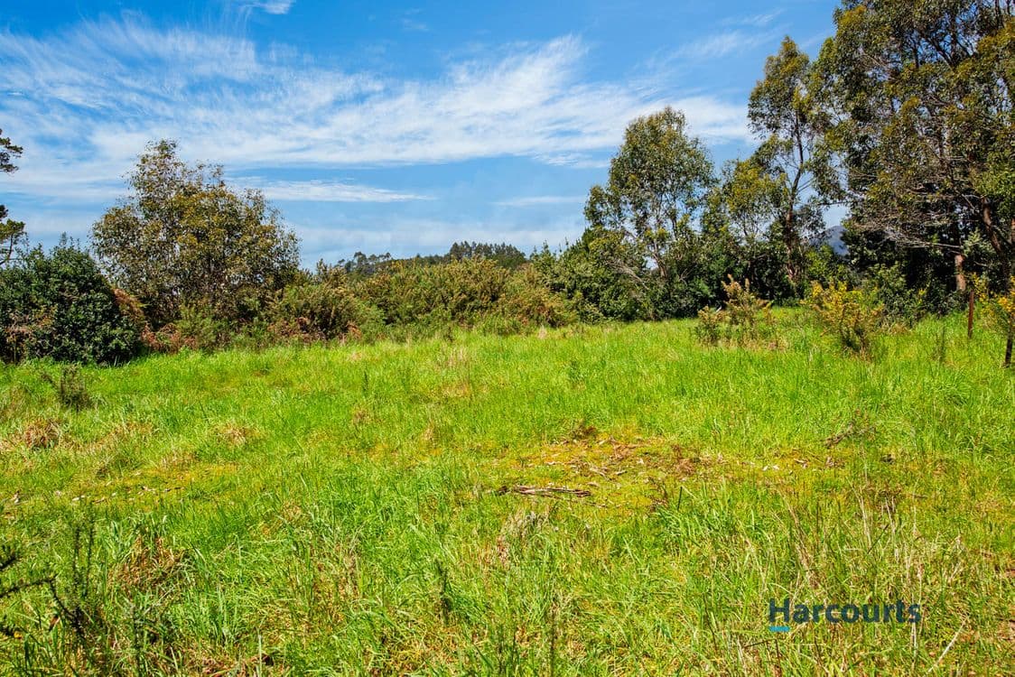 15 Adams Street, ZEEHAN, TAS 7469, Zeehan - Thumbnail 5
