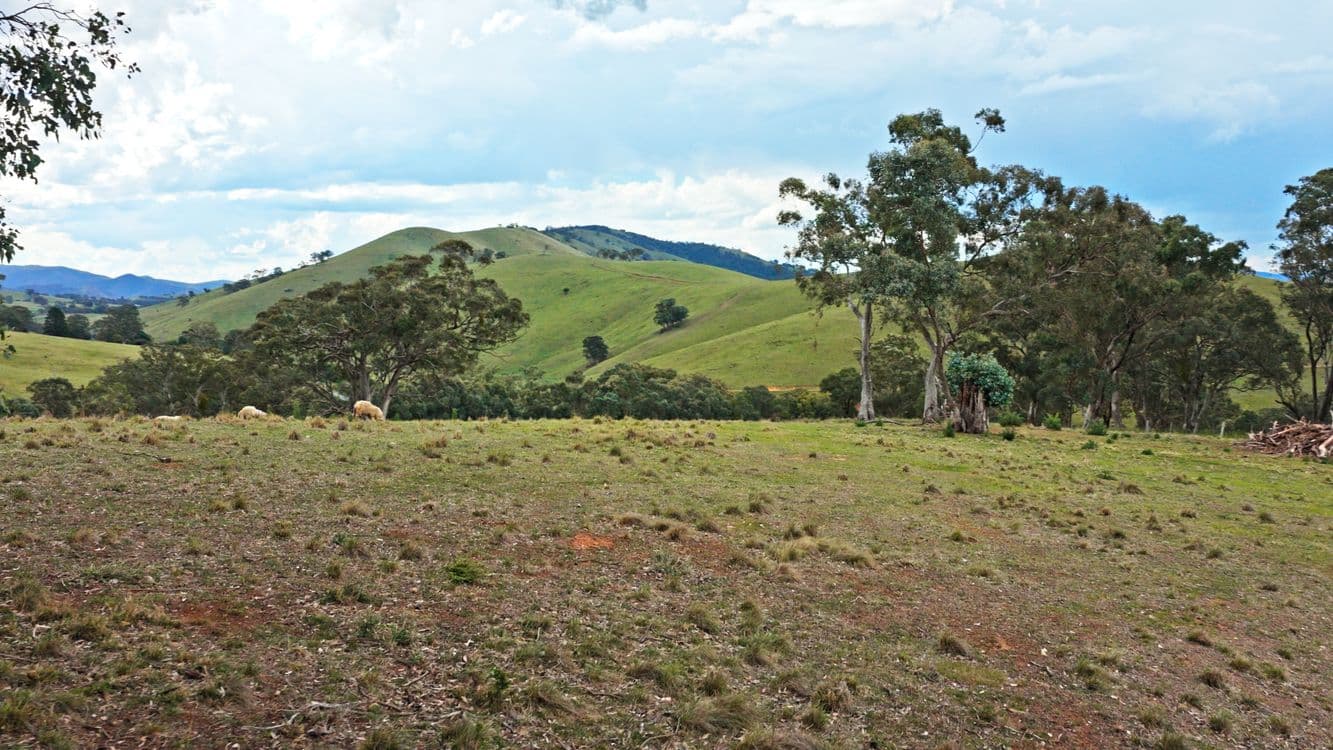 Allot 15/5185 Great Alpine Road, ENSAY, VIC 3895, Ensay - Thumbnail 4