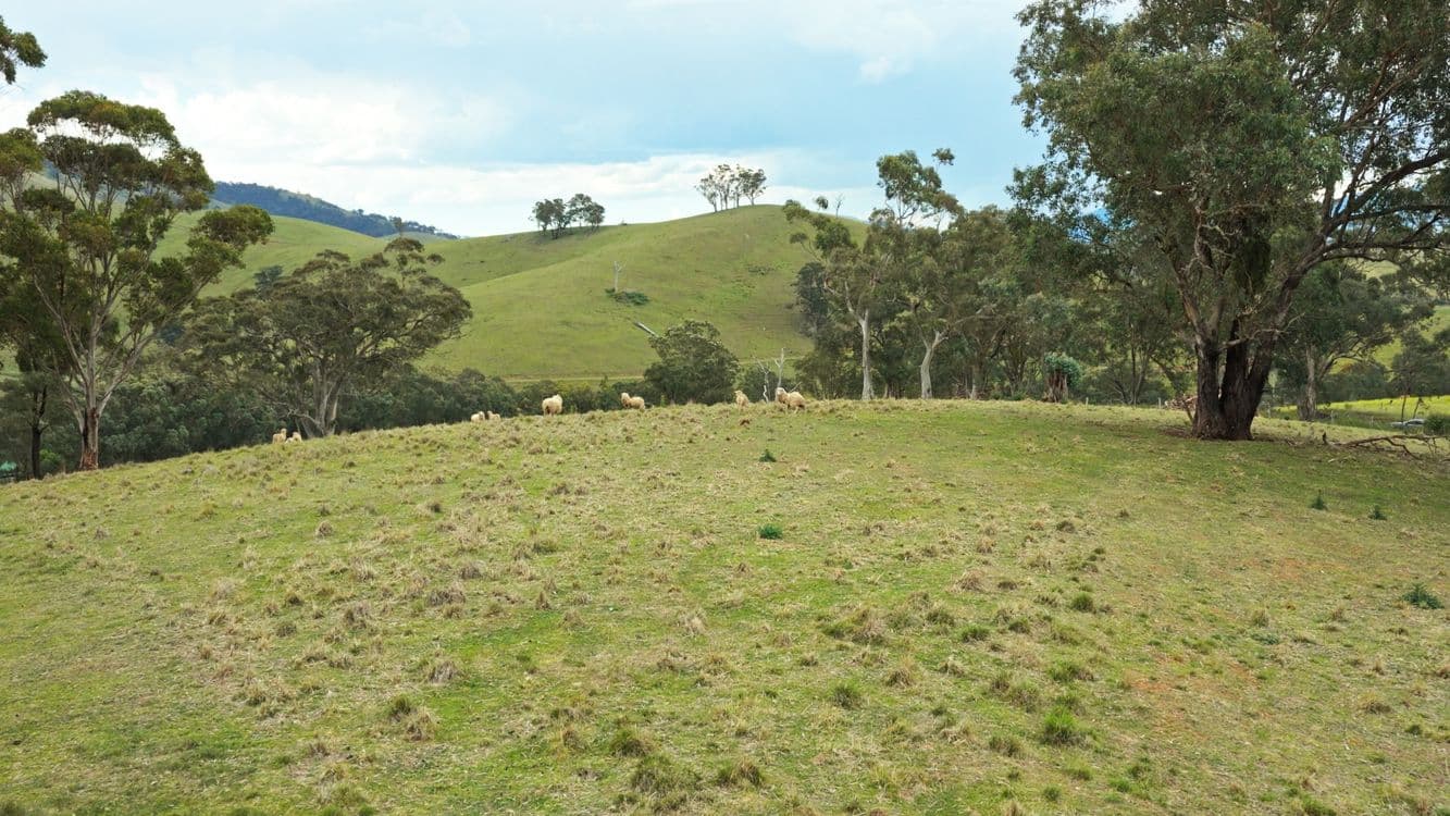 Allot 15/5185 Great Alpine Road, ENSAY, VIC 3895, Ensay - Thumbnail 5