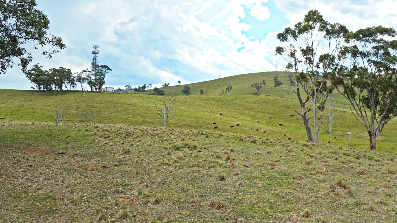 Allot 15/5185 Great Alpine Road, ENSAY, VIC 3895, Ensay - Thumbnail 7
