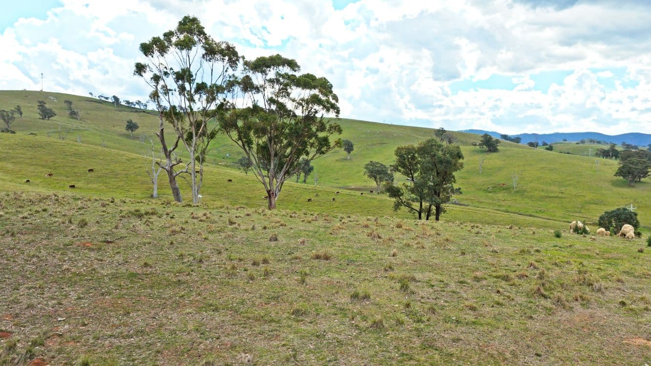 Allot 15/5185 Great Alpine Road, ENSAY, VIC 3895, Ensay - Thumbnail 8