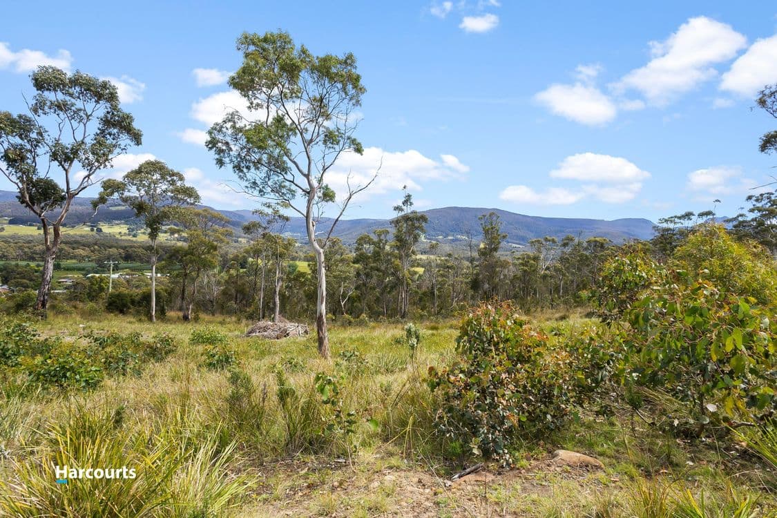 41 Grovenor Rise, GROVE, TAS 7109, Grove - Thumbnail 4