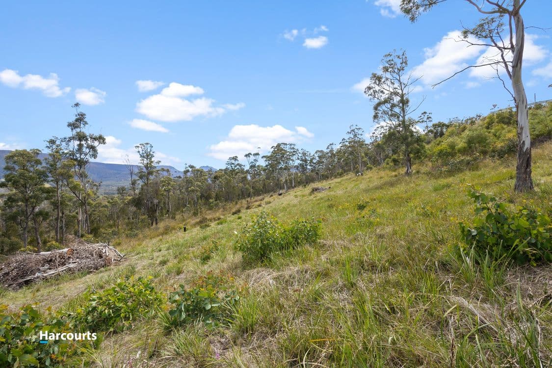 41 Grovenor Rise, GROVE, TAS 7109, Grove - Thumbnail 6