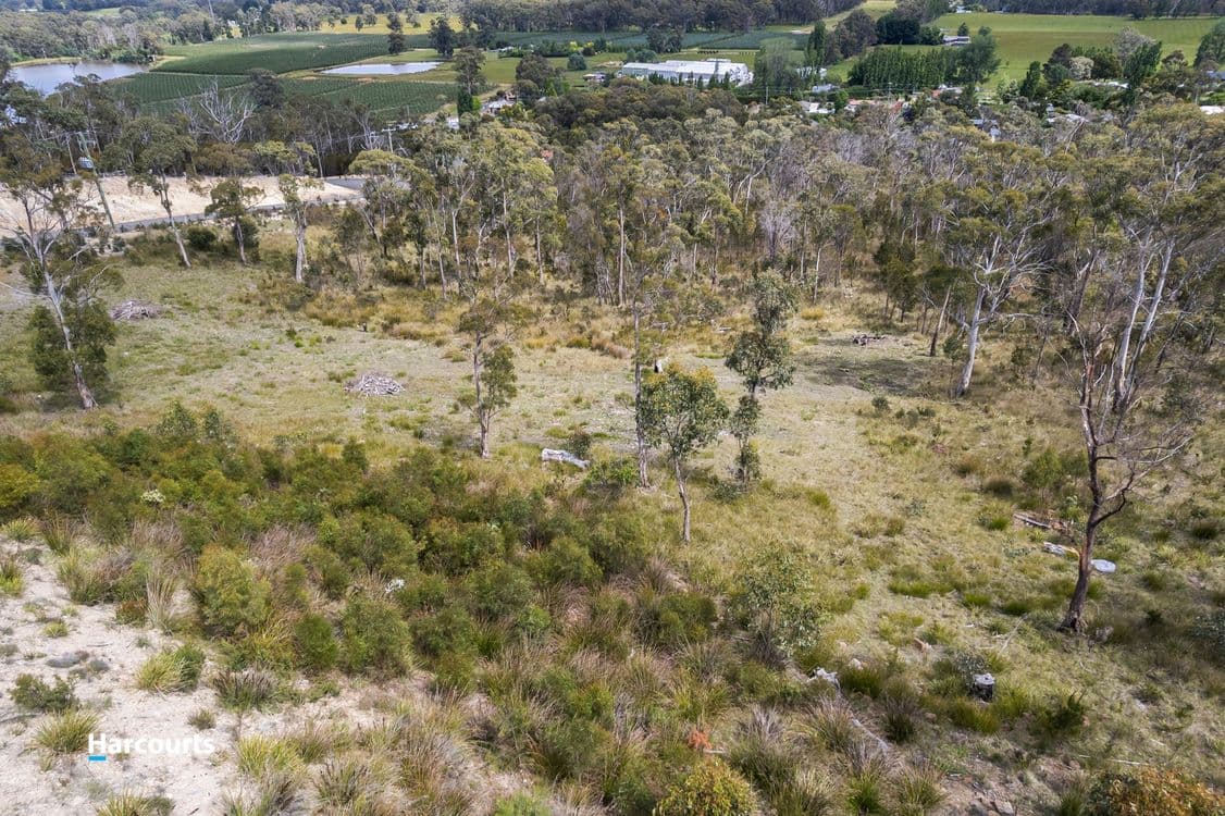 41 Grovenor Rise, GROVE, TAS 7109, Grove - Thumbnail 7