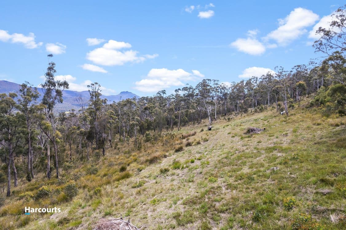 41 Grovenor Rise, GROVE, TAS 7109, Grove - Thumbnail 8