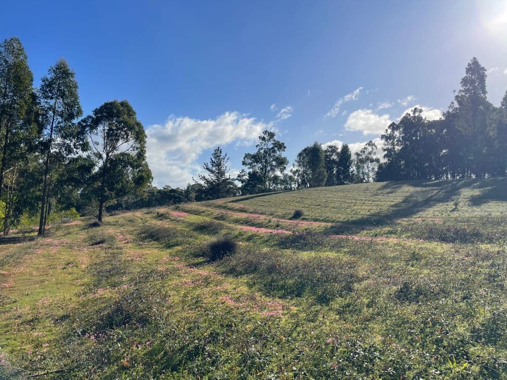 Proposed Lots 1-11 Cnr Thornbill Road & Nelson Road, BRIDGETOWN, WA 6255, Bridgetown - Thumbnail 2