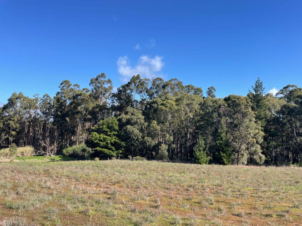 Proposed Lots 1-11 Cnr Thornbill Road & Nelson Road, BRIDGETOWN, WA 6255, Bridgetown - Thumbnail 3