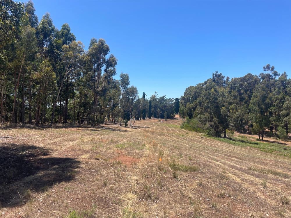 Proposed Lots 1-11 Cnr Thornbill Road & Nelson Road, BRIDGETOWN, WA 6255, Bridgetown - Thumbnail 4