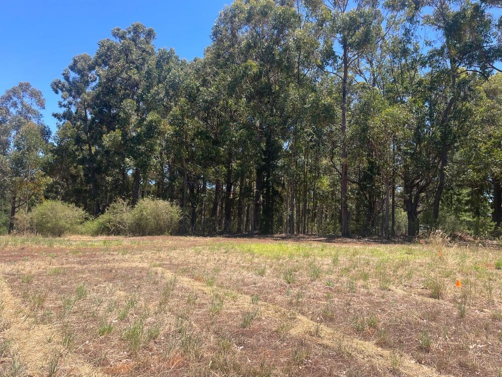 Proposed Lots 1-11 Cnr Thornbill Road & Nelson Road, BRIDGETOWN, WA 6255, Bridgetown - Thumbnail 5