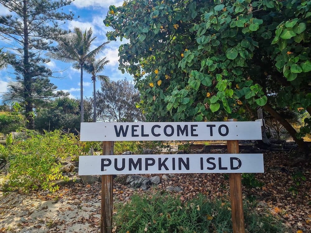 Pumpkin Island, The Keppels, QLD 4700, The Keppels - Thumbnail 2