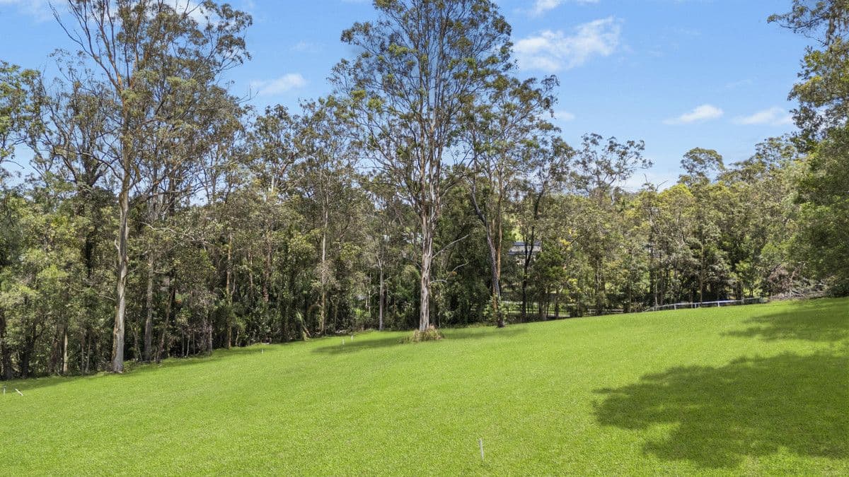 35 Ibrox Park Court, Nerang, QLD 4211, Nerang - Thumbnail 2