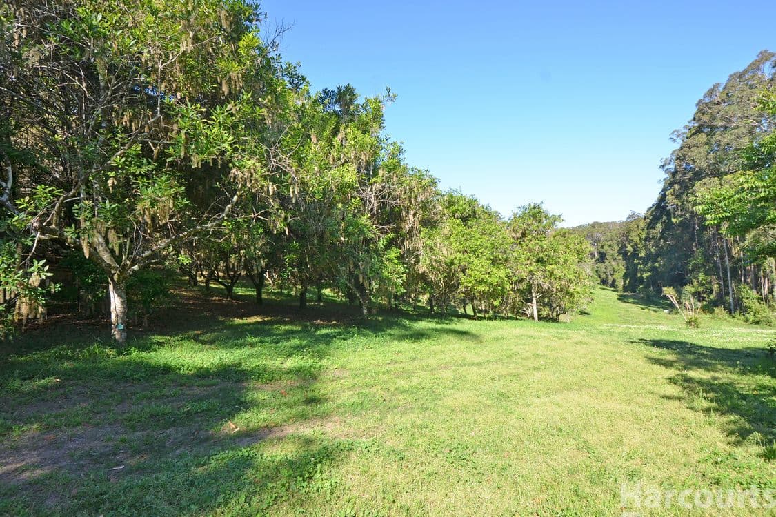 6695/137 Browns Road, Yarrahapinni, NSW 2441, Yarrahapinni - Thumbnail 3