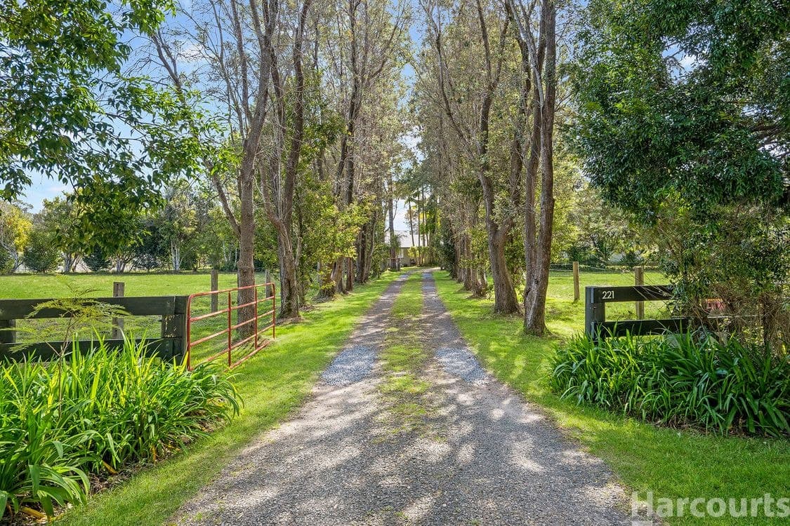 8551/221 Wharf Road, Johns River, NSW 2443, Johns River - Thumbnail 3