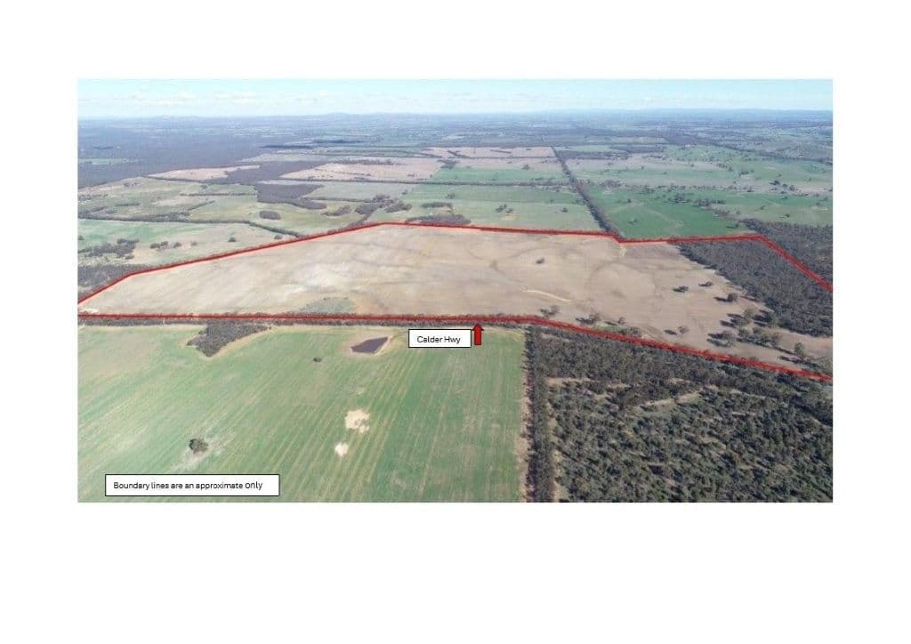 3232/54 Calder Highway, Wedderburn, VIC 3518, Wedderburn - Image 1