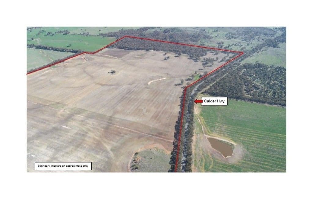3232/54 Calder Highway, Wedderburn, VIC 3518, Wedderburn - Thumbnail 3
