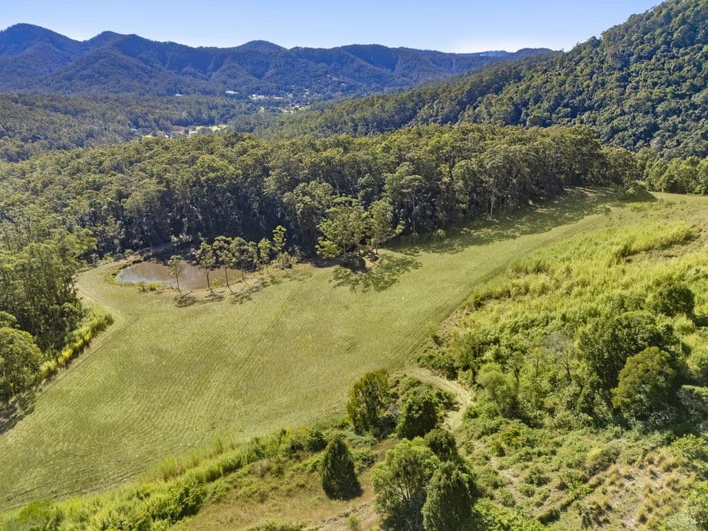 193 Petsch Creek Road, Tallebudgera Valley, QLD 4228, Tallebudgera Valley - Thumbnail 2