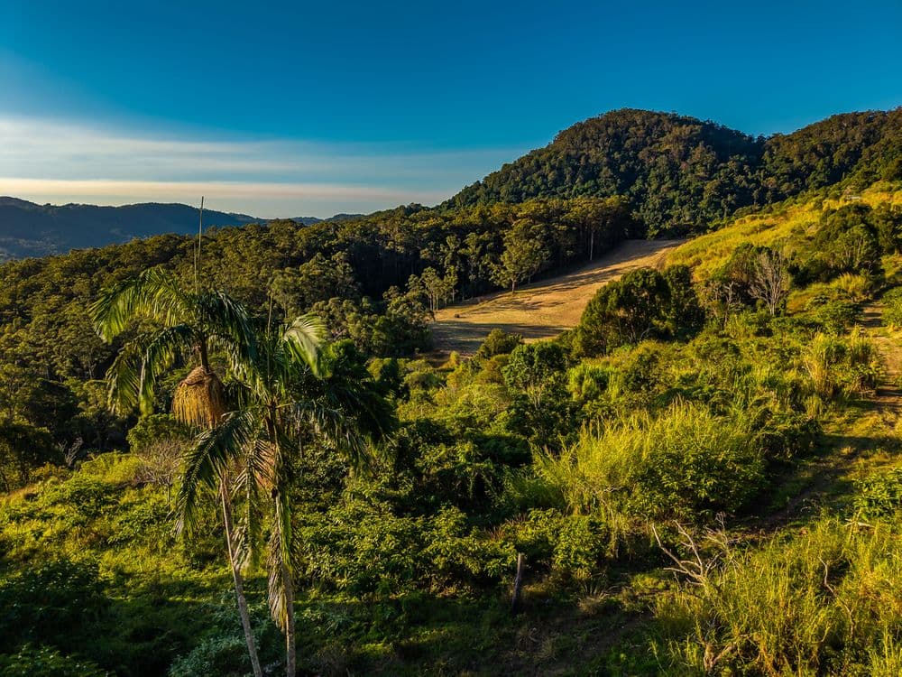 193 Petsch Creek Road, Tallebudgera Valley, QLD 4228, Tallebudgera Valley - Thumbnail 4
