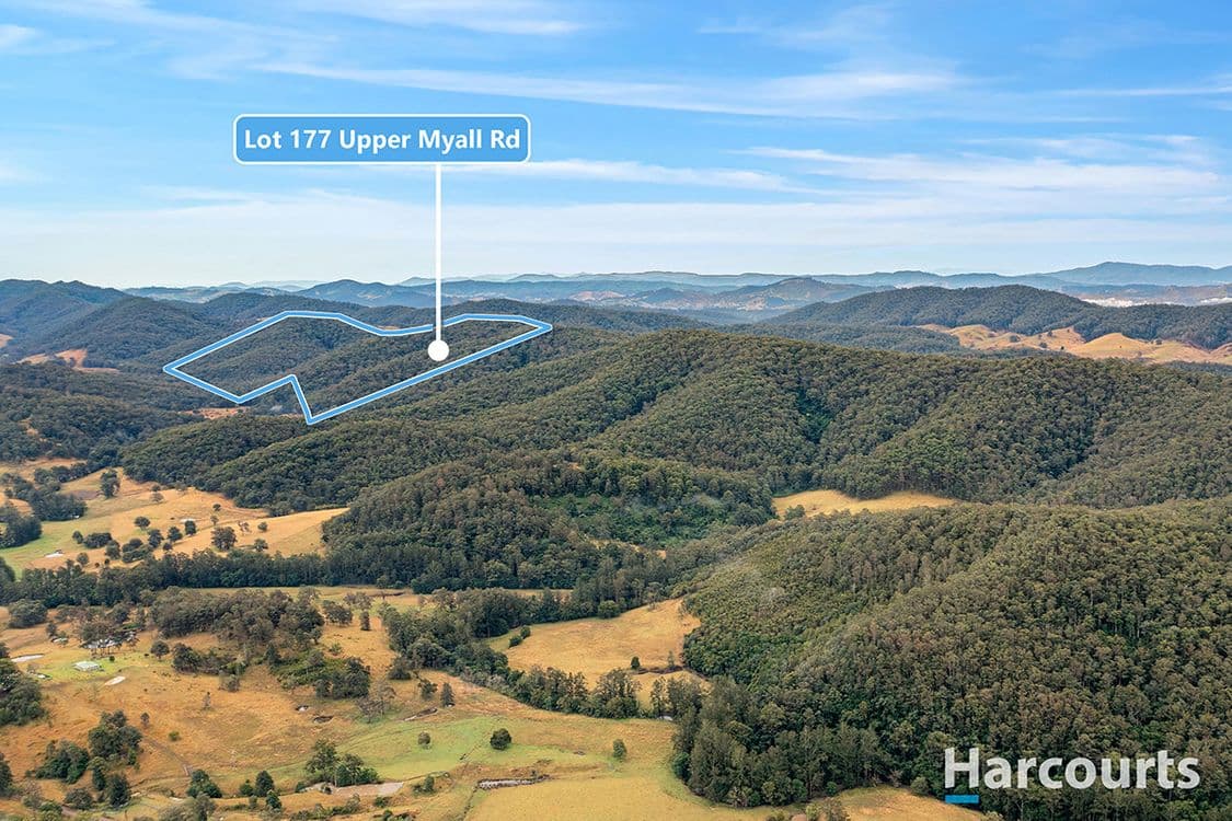 Upper Myall Road, Warranulla, NSW 2423, Warranulla - Thumbnail 3