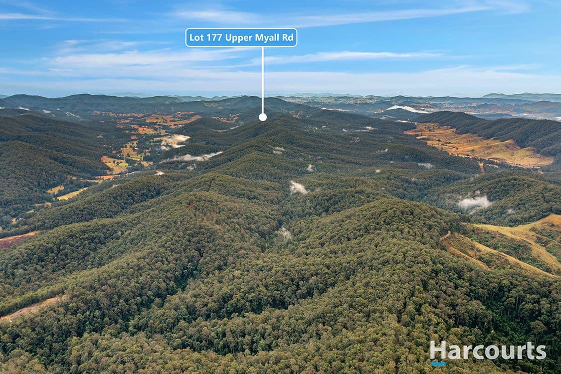 Upper Myall Road, Warranulla, NSW 2423, Warranulla - Thumbnail 8
