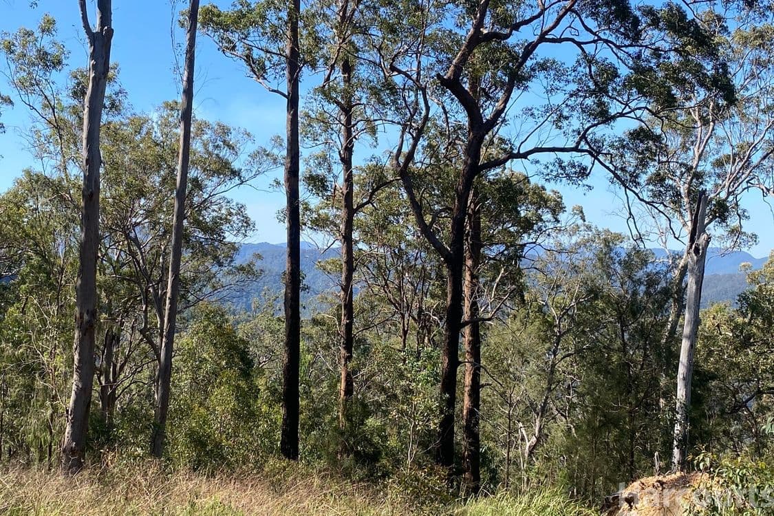 6374/487 Smiths Creek Road, Lower Creek, NSW 2440, Lower Creek - Image 1