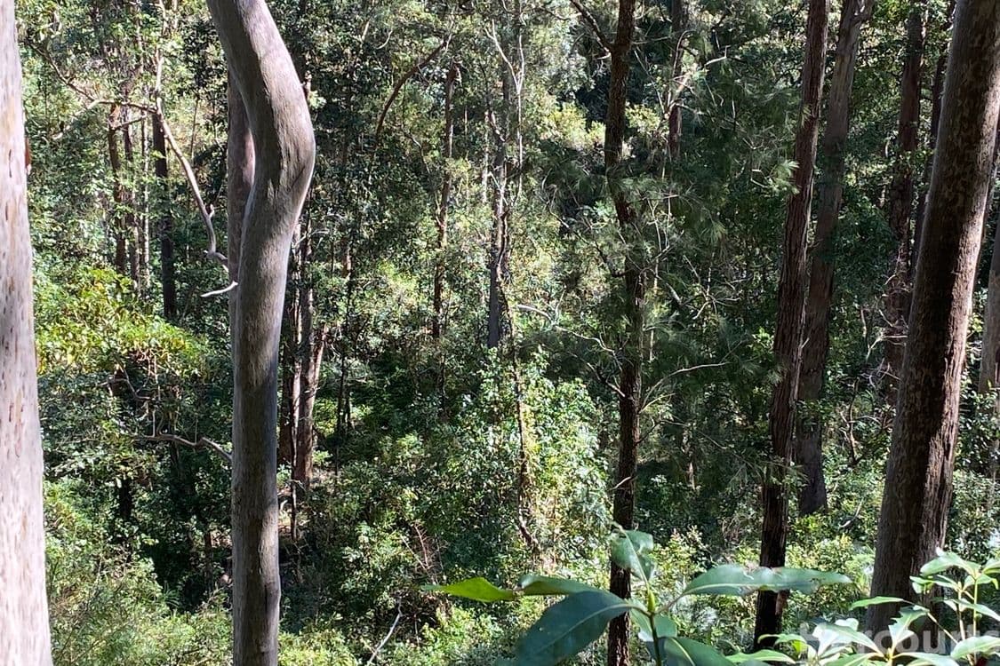 6374/487 Smiths Creek Road, Lower Creek, NSW 2440, Lower Creek - Thumbnail 2