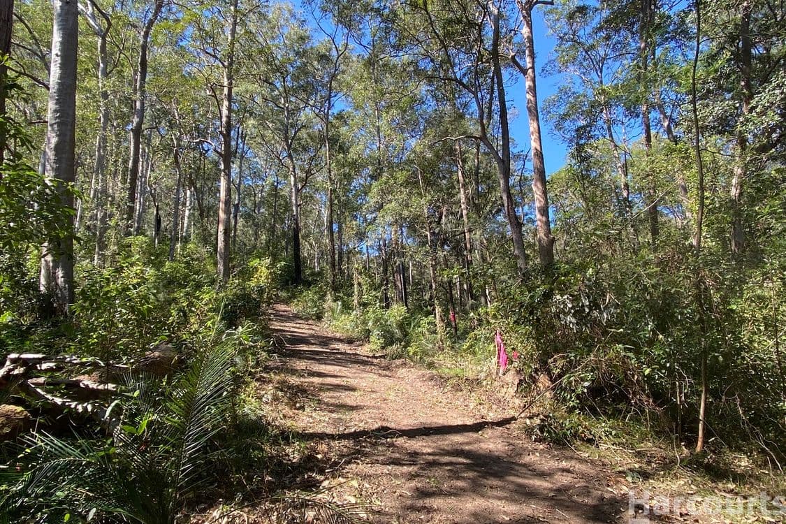 6374/487 Smiths Creek Road, Lower Creek, NSW 2440, Lower Creek - Thumbnail 3