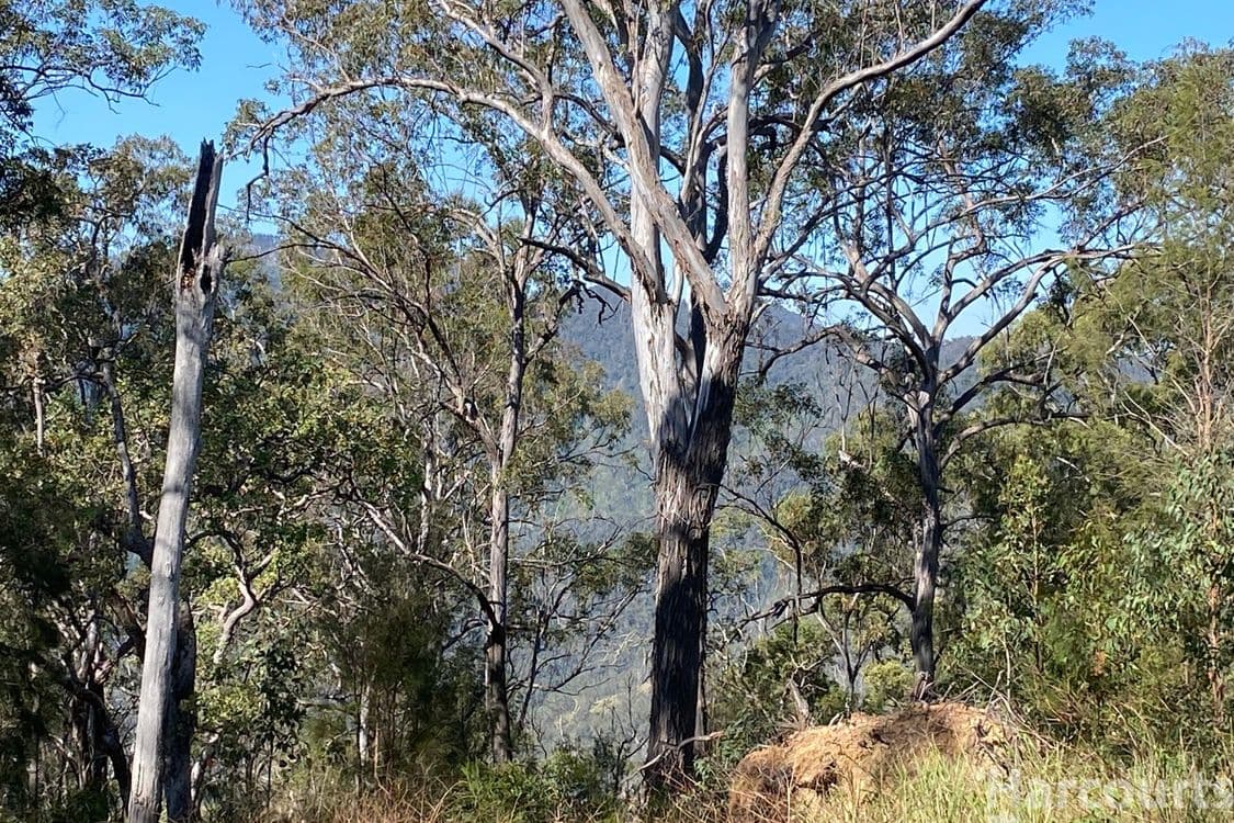 6374/487 Smiths Creek Road, Lower Creek, NSW 2440, Lower Creek - Thumbnail 4
