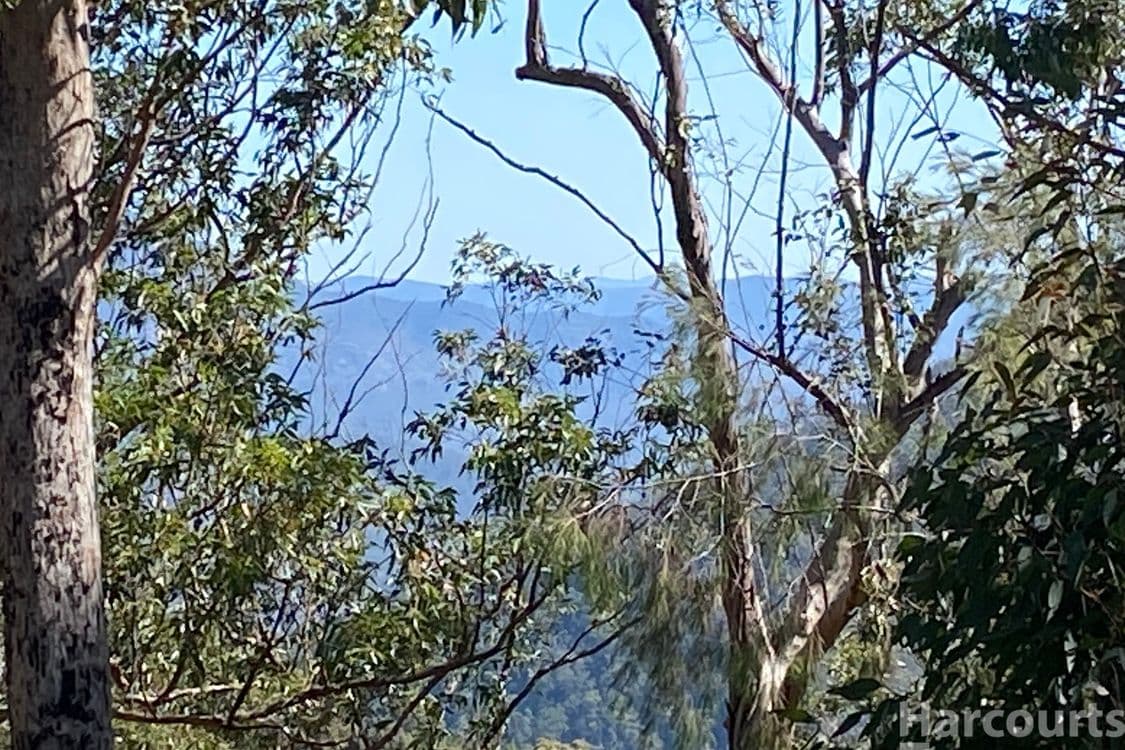 6374/487 Smiths Creek Road, Lower Creek, NSW 2440, Lower Creek - Thumbnail 5