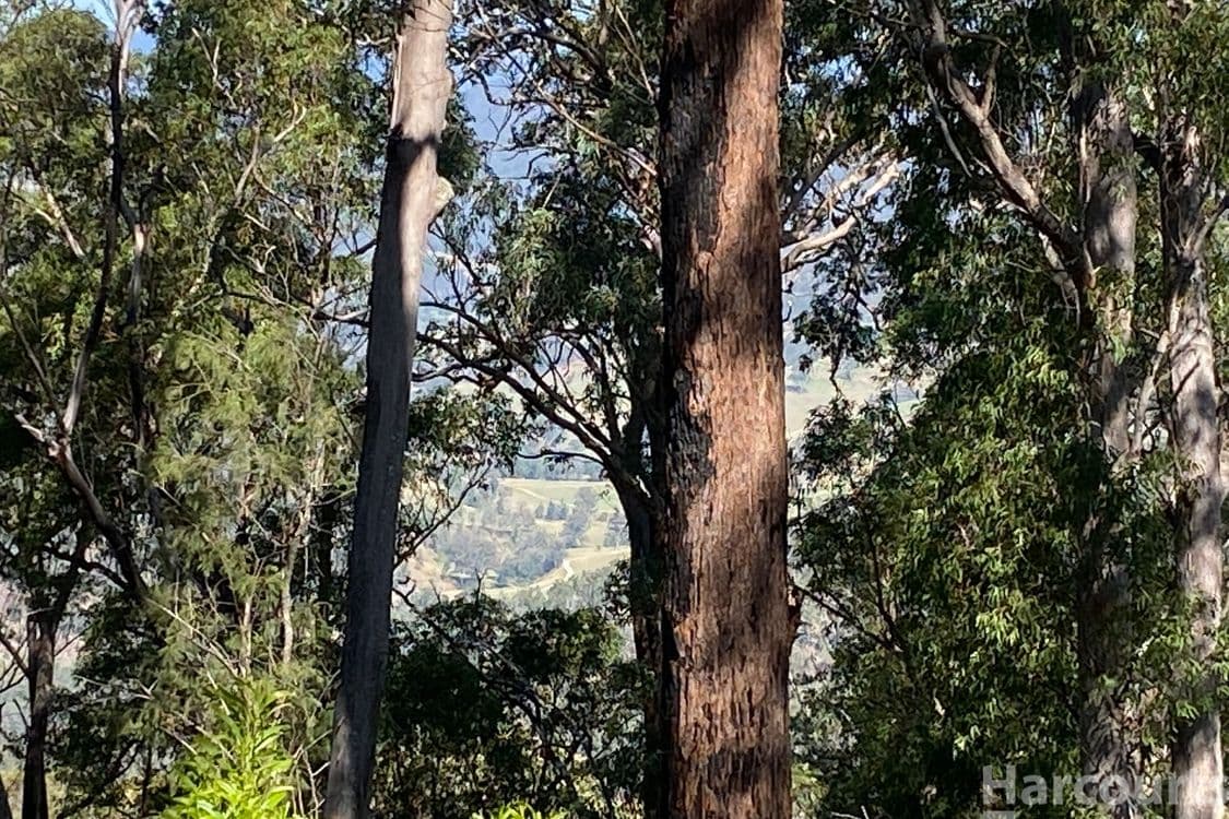 6374/487 Smiths Creek Road, Lower Creek, NSW 2440, Lower Creek - Thumbnail 6