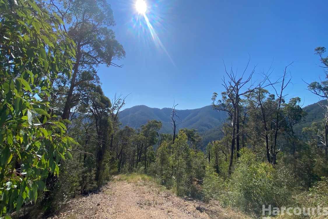 6374/487 Smiths Creek Road, Lower Creek, NSW 2440, Lower Creek - Thumbnail 8