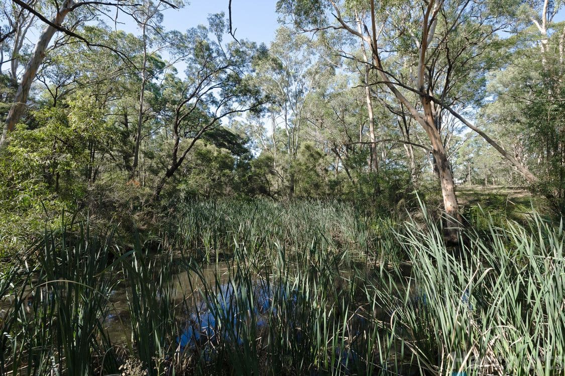 7150/75 Church Street, Abermain, NSW 2326, Abermain - Thumbnail 6