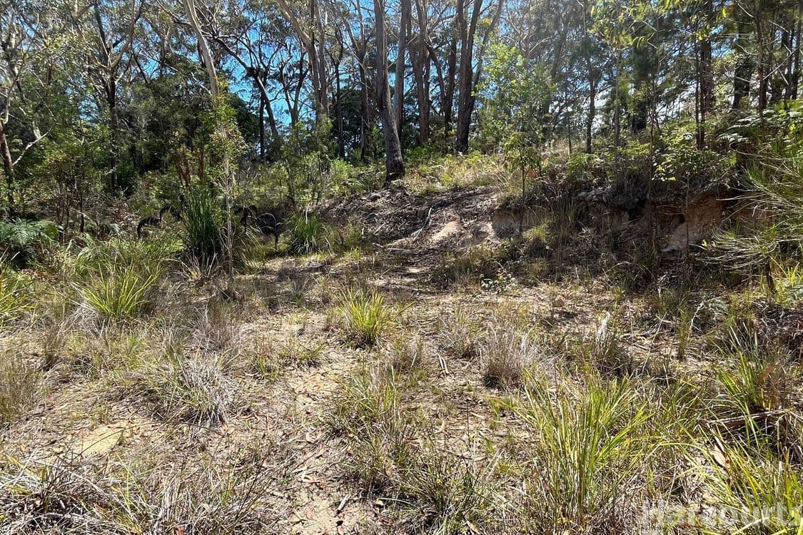 4887/132 Tallowwood Place, South West Rocks, NSW 2431, South West Rocks - Thumbnail 2