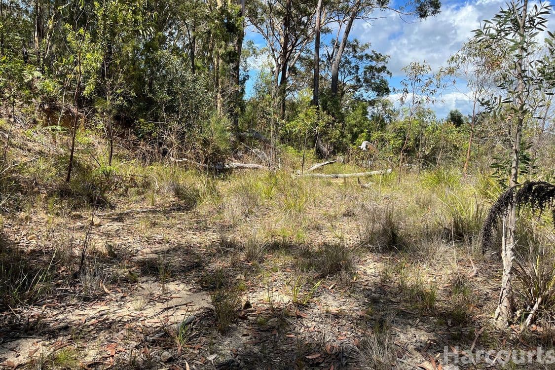 4887/132 Tallowwood Place, South West Rocks, NSW 2431, South West Rocks - Thumbnail 3