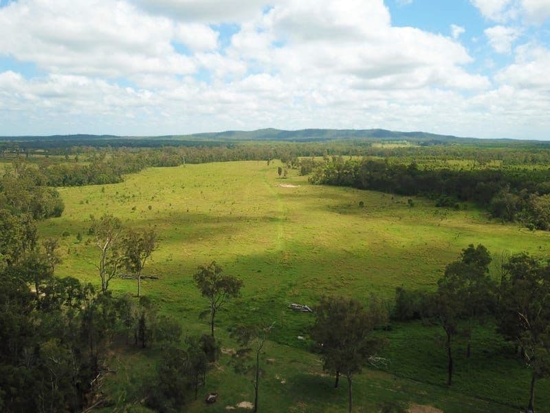 GOLDEN FLEECE QLD, Golden Fleece - Thumbnail 3