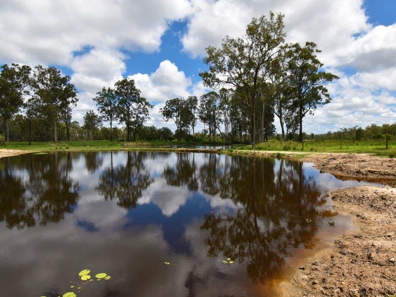 GOLDEN FLEECE QLD, Golden Fleece - Thumbnail 4