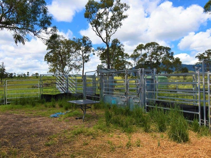 GOLDEN FLEECE QLD, Golden Fleece - Thumbnail 5