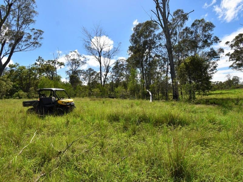 GOLDEN FLEECE QLD, Golden Fleece - Thumbnail 6