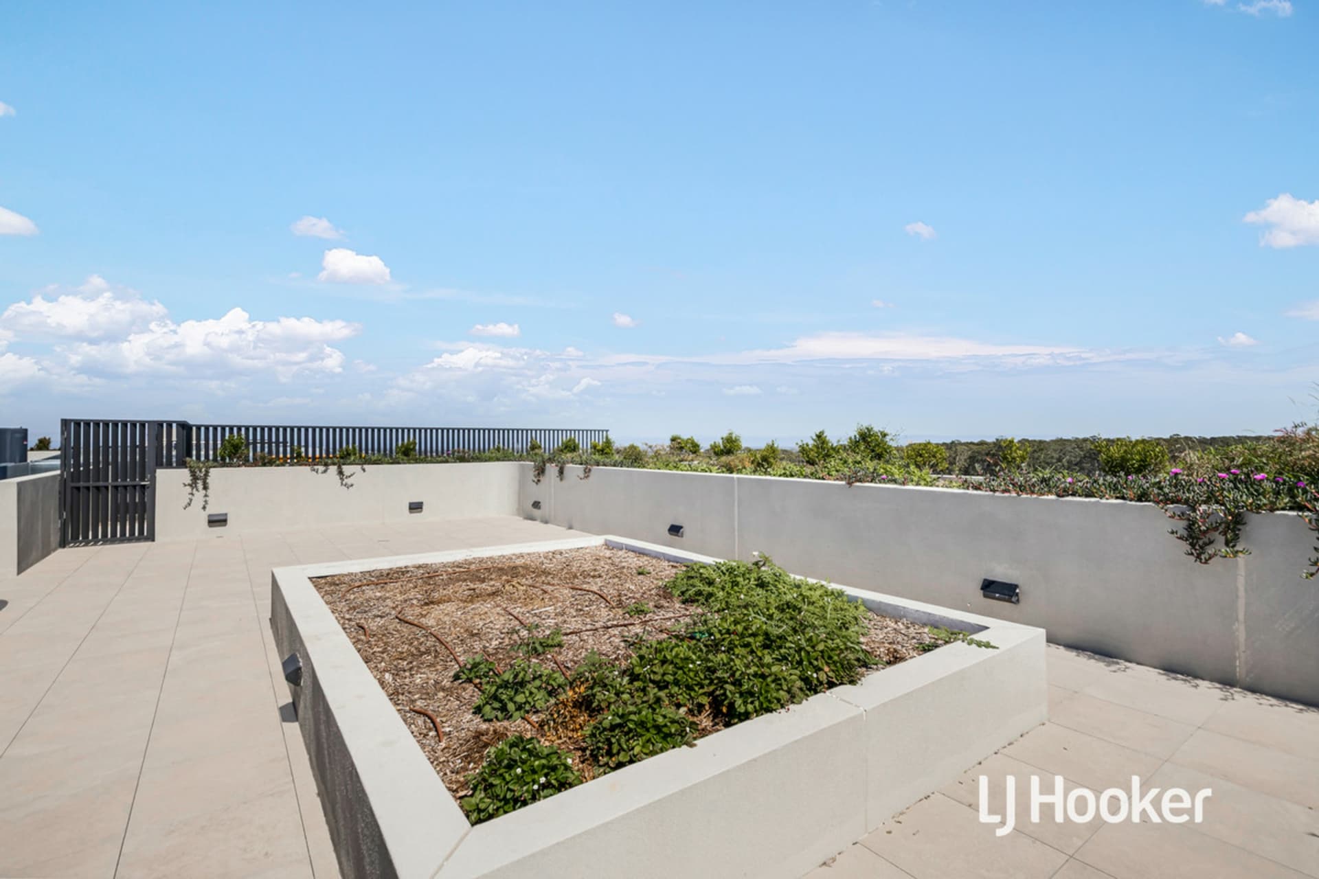622/1E Themeda Avenue, Tallawong, Tallawong - Thumbnail 8