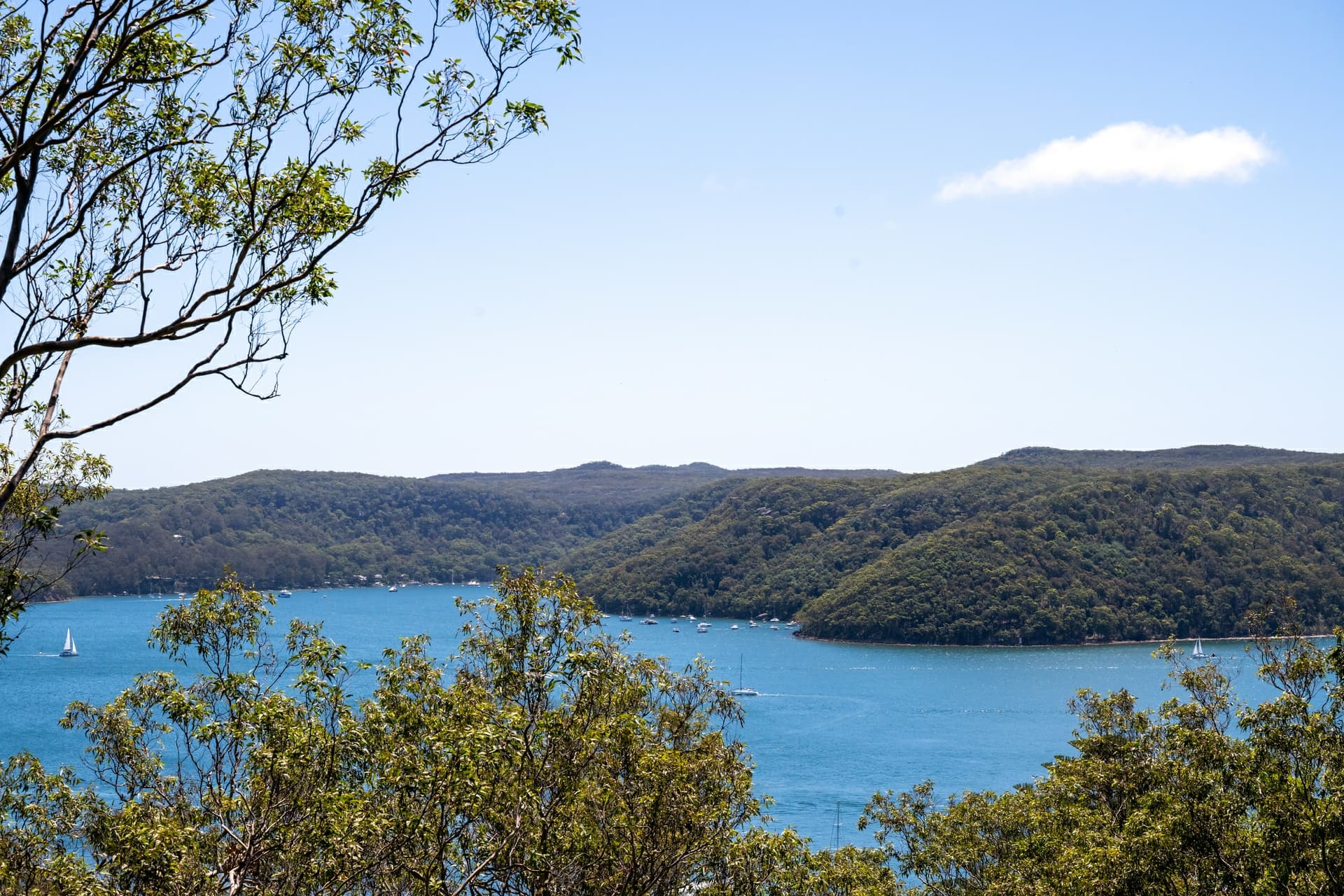 12 Capri Close, Avalon Beach, Avalon Beach - Thumbnail 8
