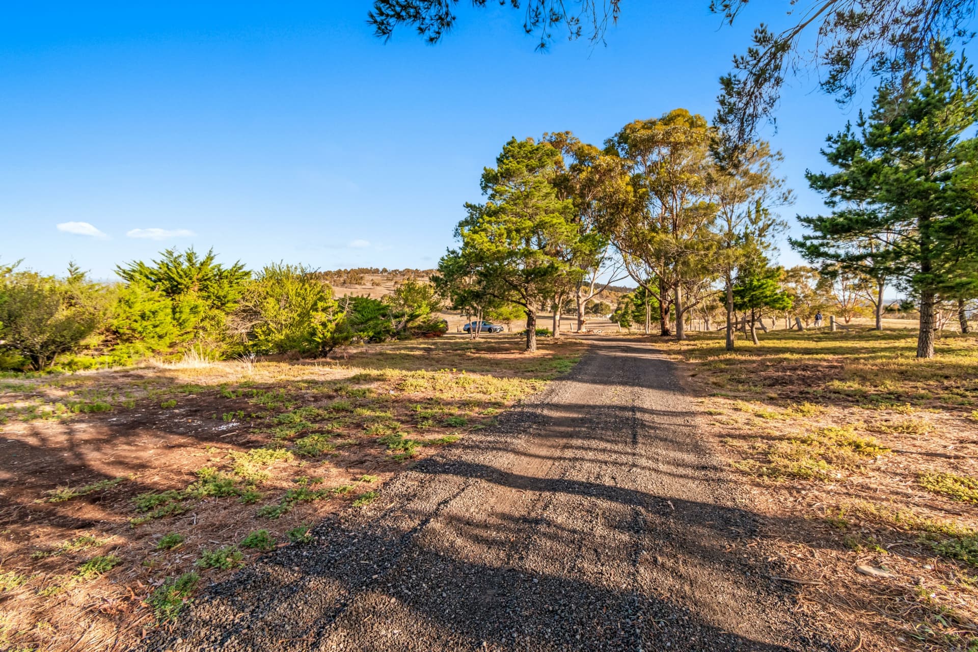 240 Swans Road, Darley, Darley - Thumbnail 3