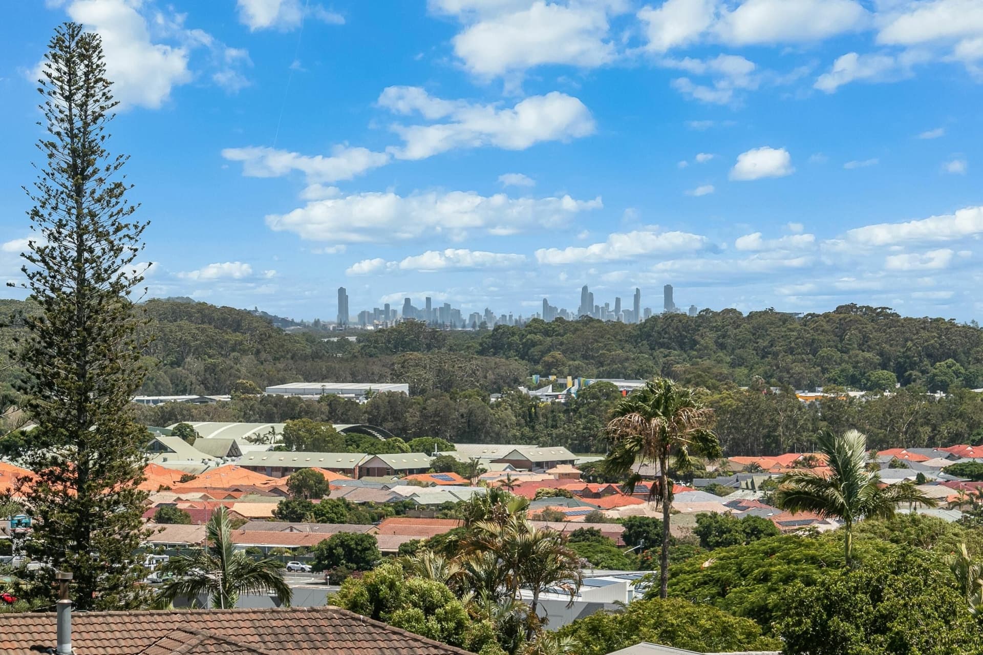 3 Widgee Avenue, Banora Point, Banora Point - Image 1