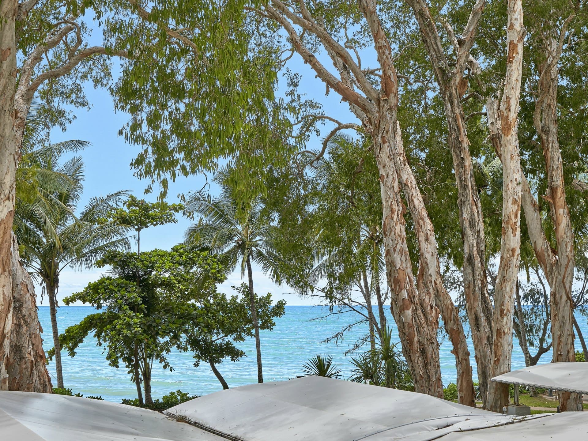 1221-1222/123-127 Williams Esplanade, Palm Cove, Palm Cove - Image 1