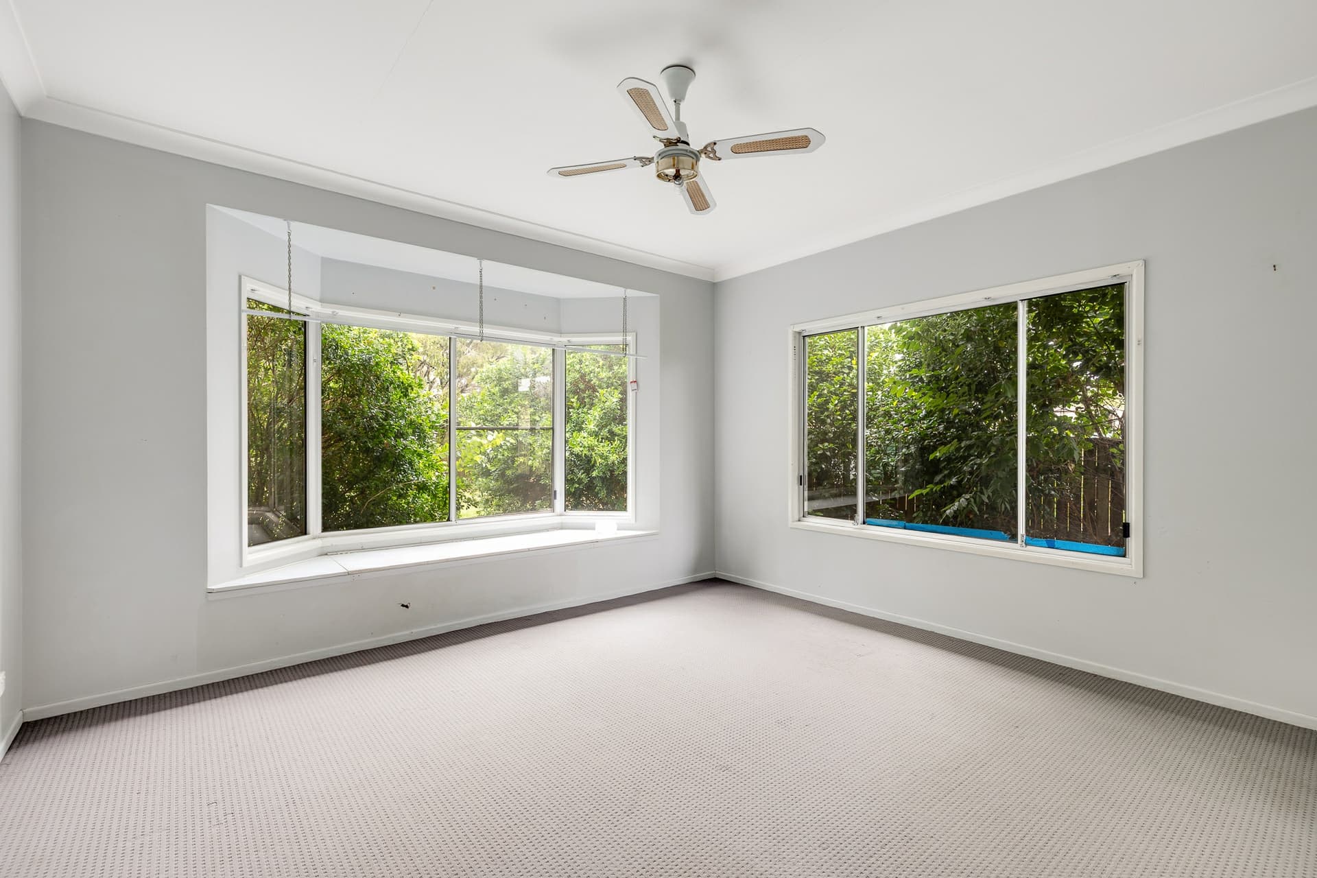 47 Glenvale Road, Newtown, Newtown - Thumbnail 5