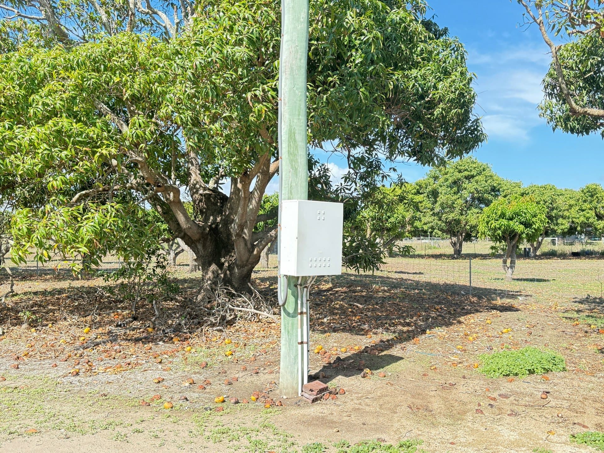 285 Inverdon Road, Bowen, Bowen - Thumbnail 5