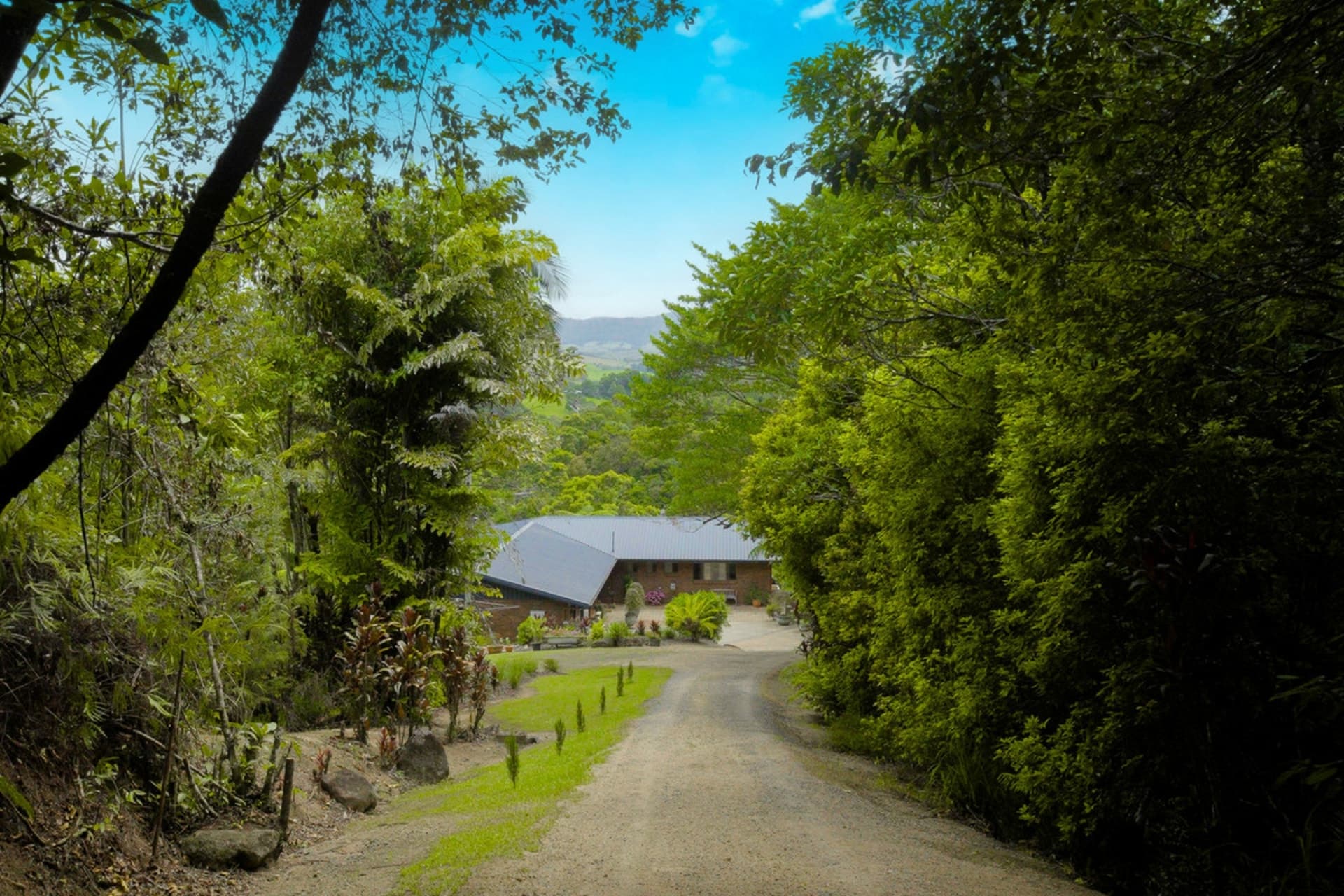 222 Hitchconole Road, Tarzali, Tarzali - Thumbnail 6